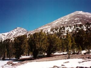 Mt Idaho and Peak 11,967