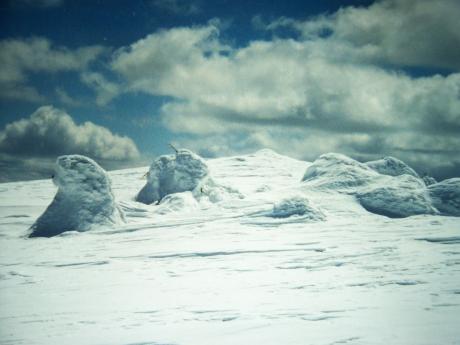 Summit view south on 4/20/98. Photo by Rick Baugher.