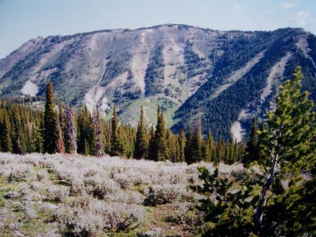View NE toward Mt Mansfield from the summit area of Mount Peale el 9400'+ on 6/12/02. Photo by Rick Baugher.