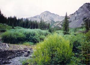 The hike into OCaulkens Lake